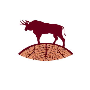 Spanish Terroir